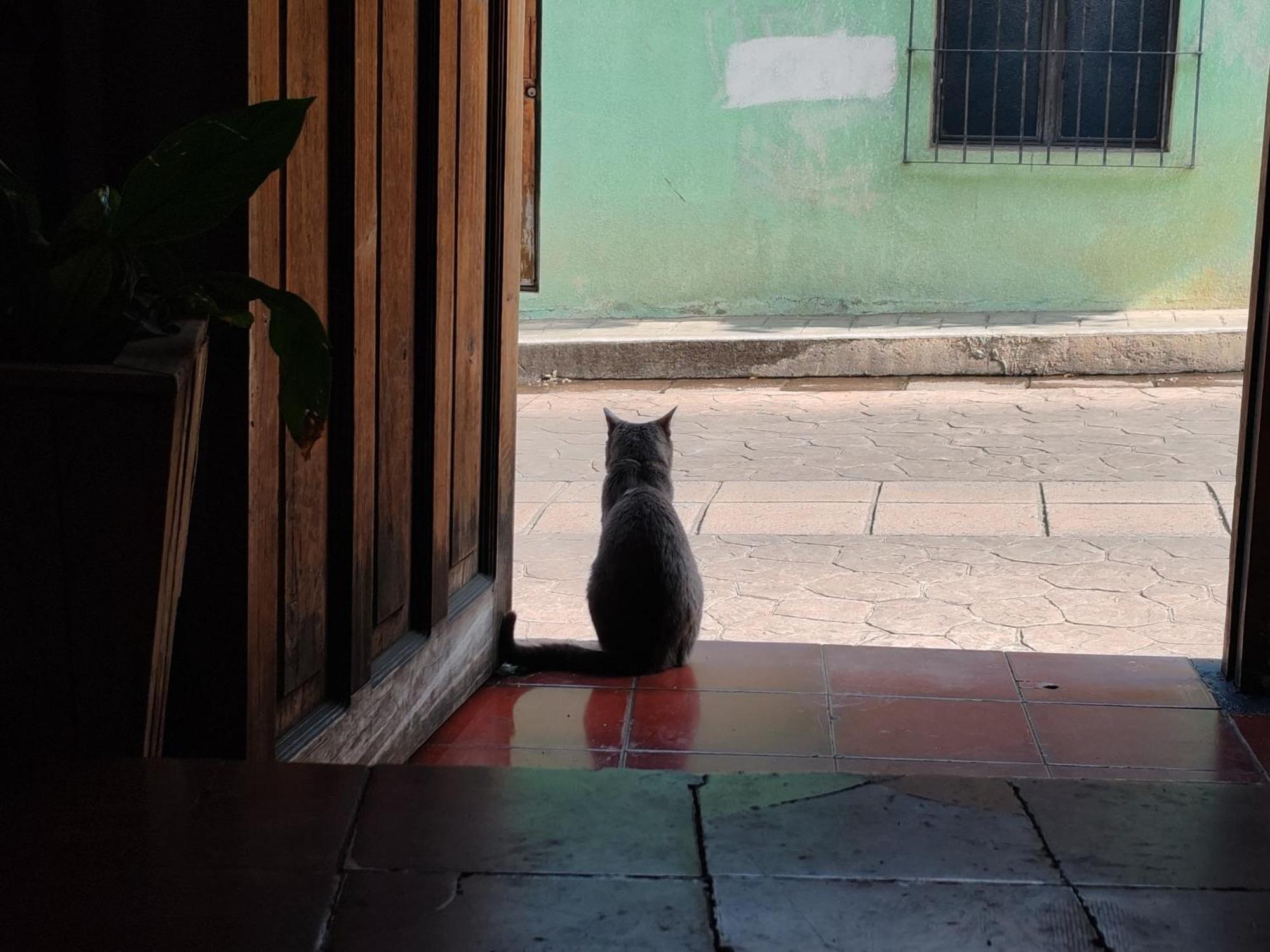 הוסטל San Cristóbal de Las Casas Casa Satoshi מראה חיצוני תמונה